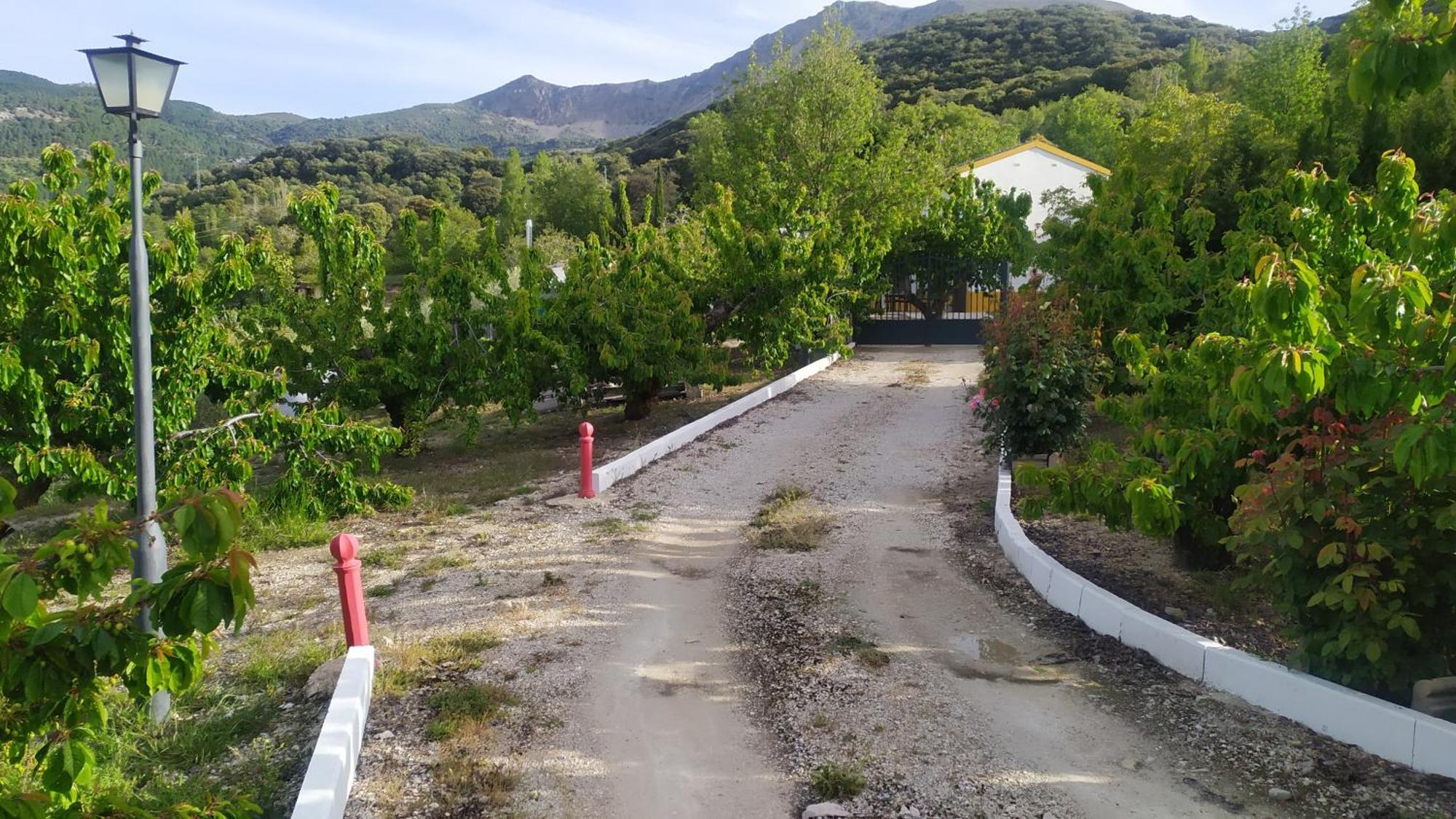 Los Cabales Torres  Buitenkant foto